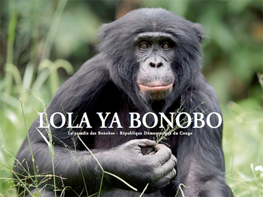 Livre Lola ya bonobo